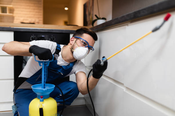 Trusted Canadian, TX Pest Control Experts