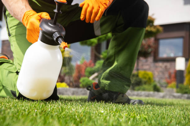 Best Pest Control Near Me in Canadian, TX