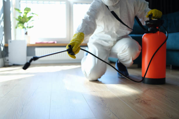 Wasp Removal Services in Canadian, TX