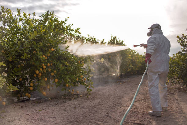 Best Exterminator Services  in Canadian, TX