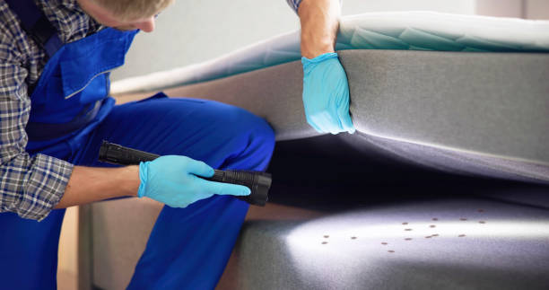 Best Pest Control Near Me  in Canadian, TX