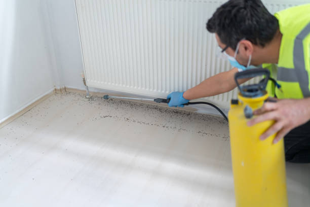 Best Best Pest Control Companies  in Canadian, TX