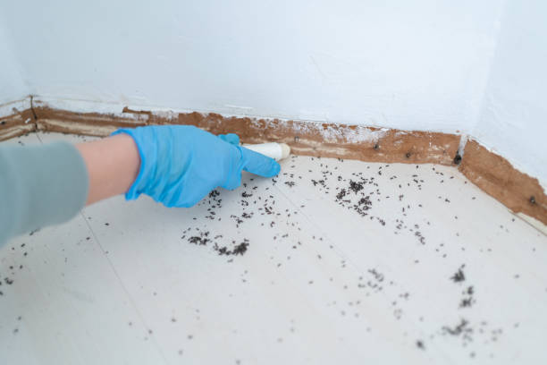 Best Wildlife Control Services  in Canadian, TX