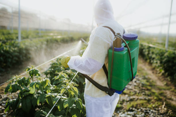  Canadian, TX Pest Control Pros